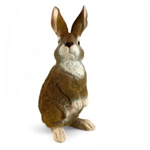 Hase klein