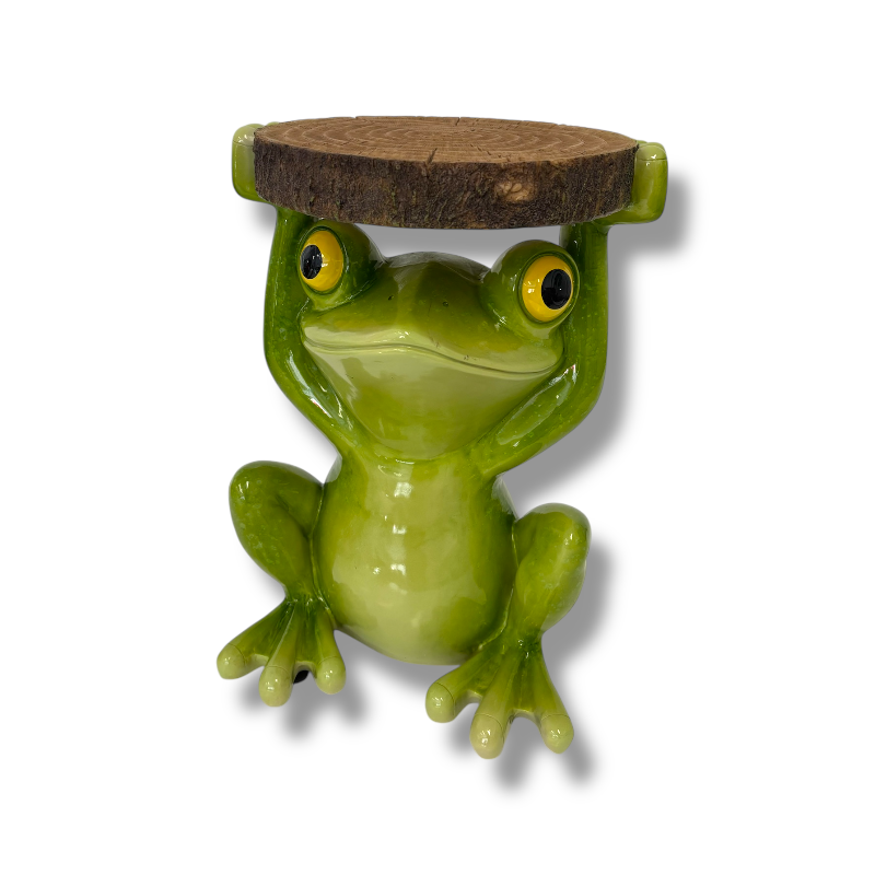Frosch Tisch,klein