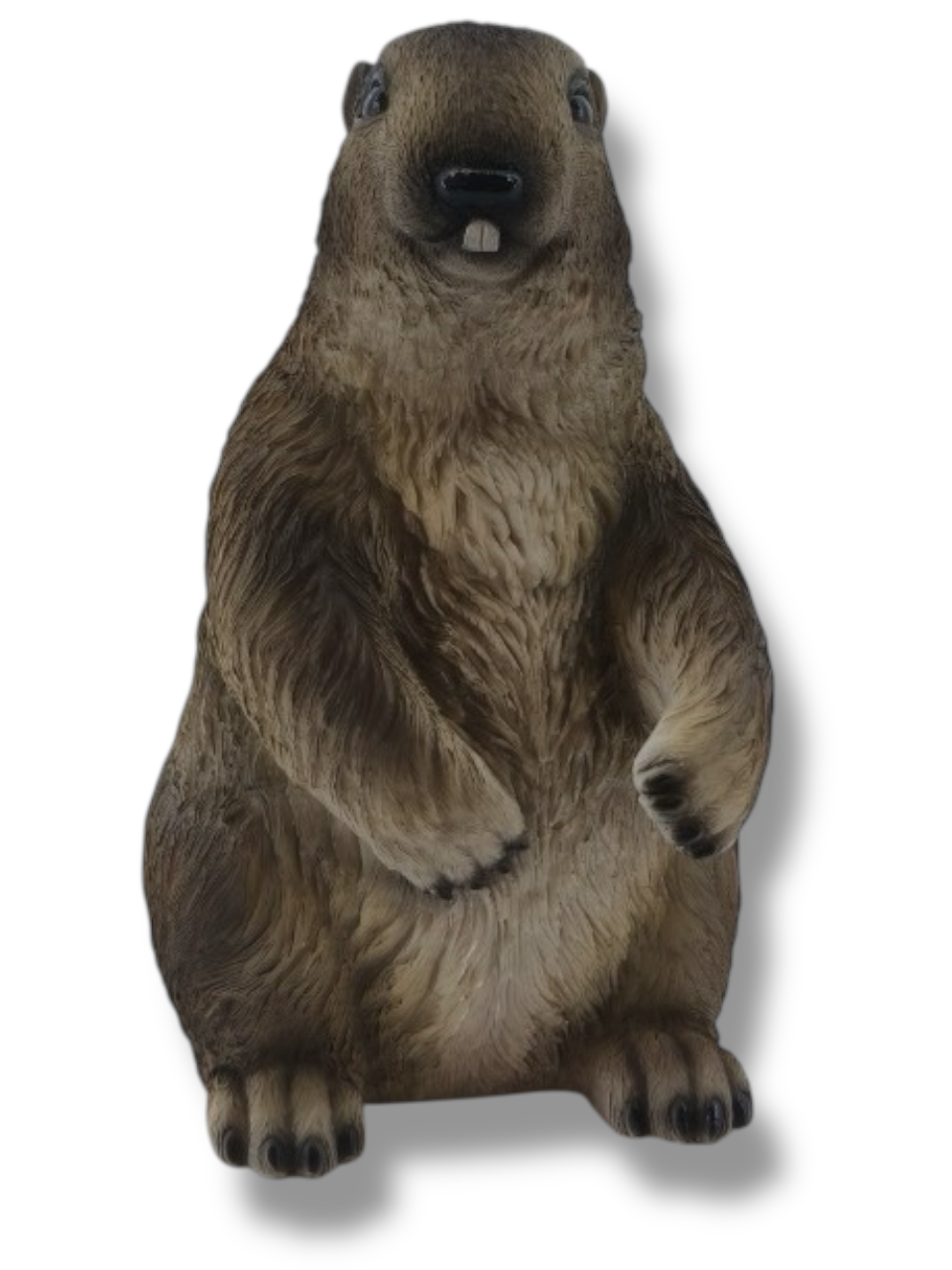Murmeltier