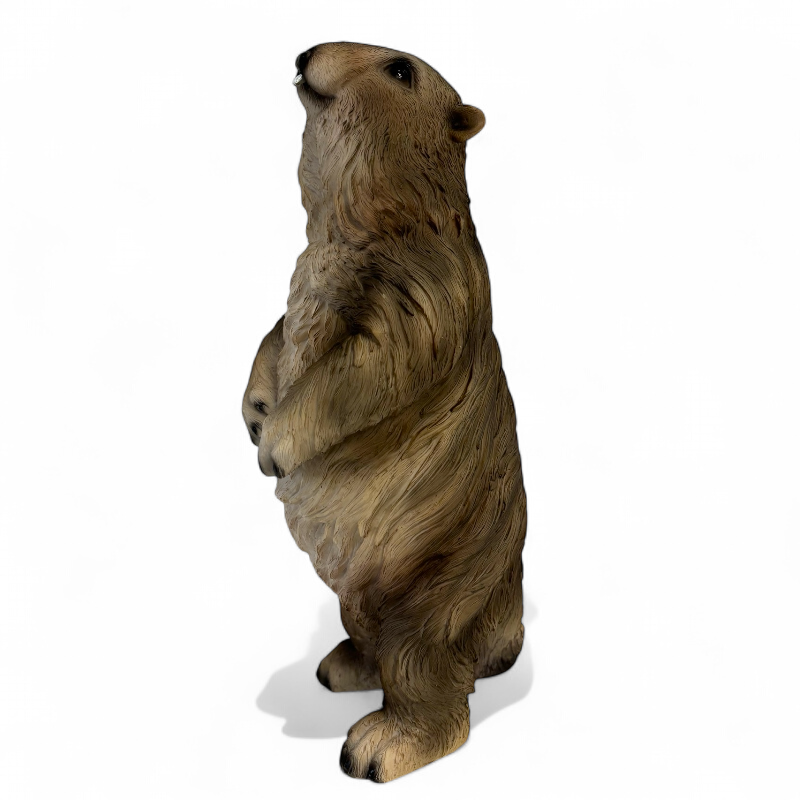 Murmeltier