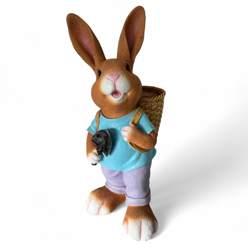 Hase Junge