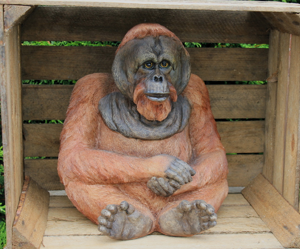 Orang Utan sitzt - zum Schließen ins Bild klicken