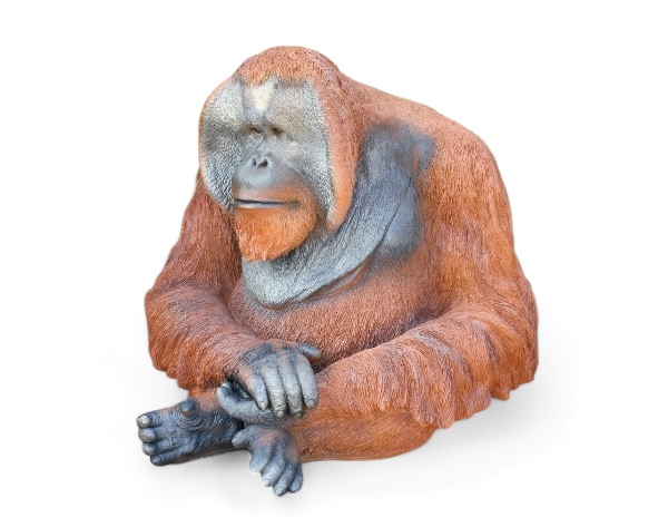 Orang Utan sitzend groß - zum Schließen ins Bild klicken