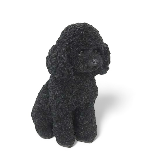 Pudel Welpe schwarz - zum Schließen ins Bild klicken