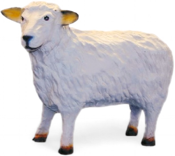 Schaf - zum Schließen ins Bild klicken