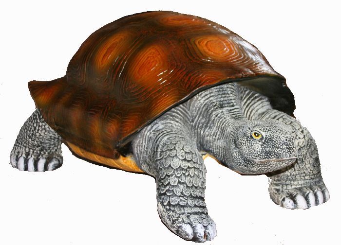 Schildkröte riesig - zum Schließen ins Bild klicken