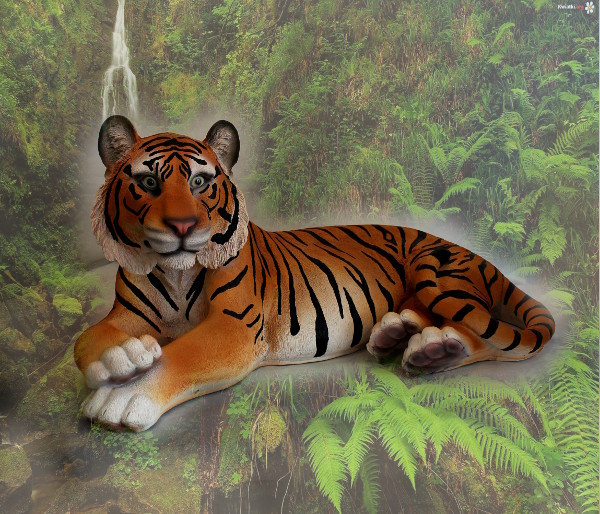 Tiger gross - zum Schließen ins Bild klicken