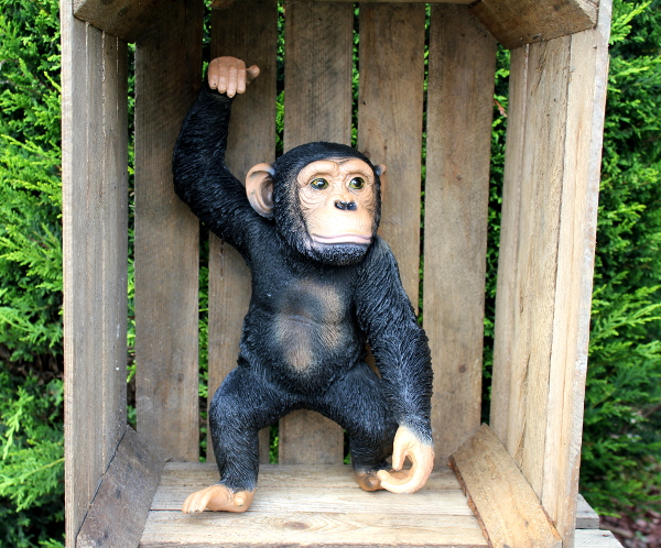 Affe hängend - zum Schließen ins Bild klicken