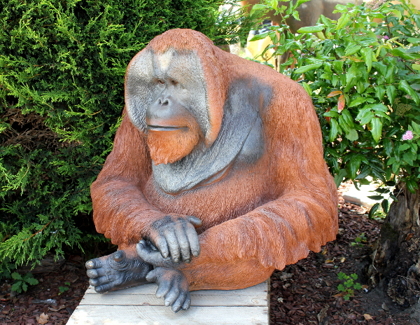 Orang Utan sitzend groß - zum Schließen ins Bild klicken